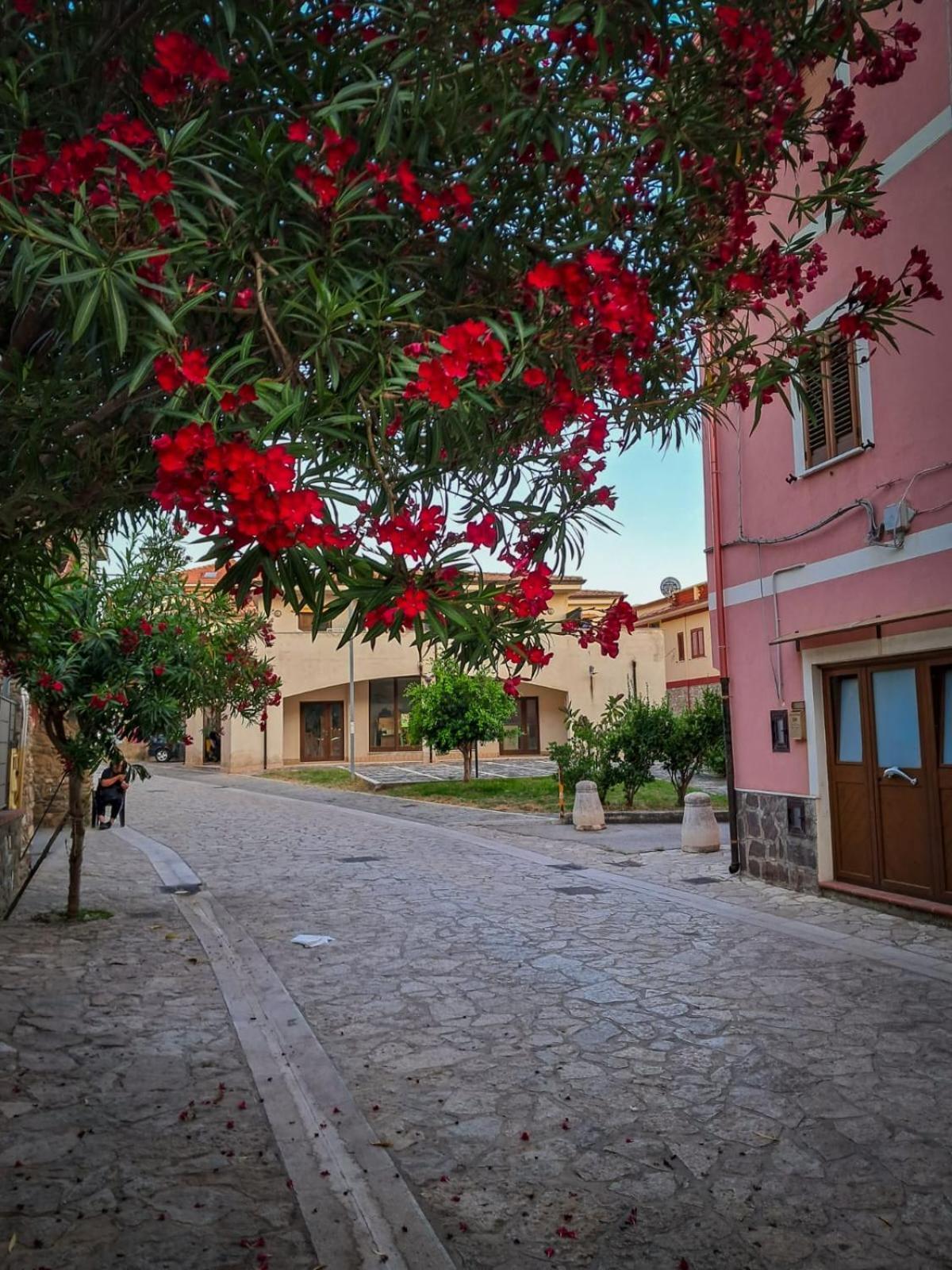 Appartamento La Coffa Agnone Cilento Exterior photo